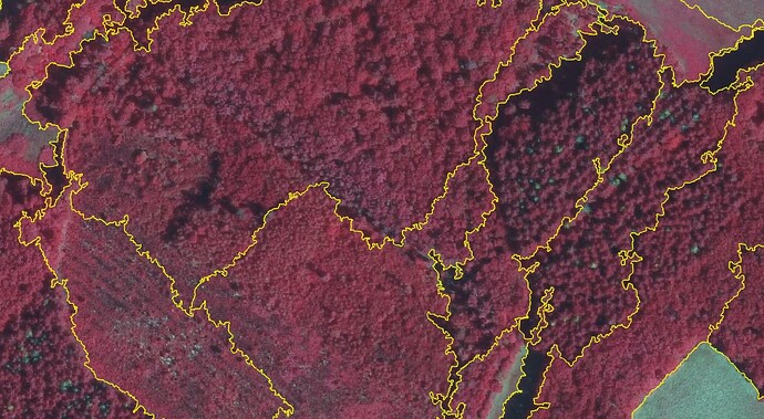 segementation_GRM_forests