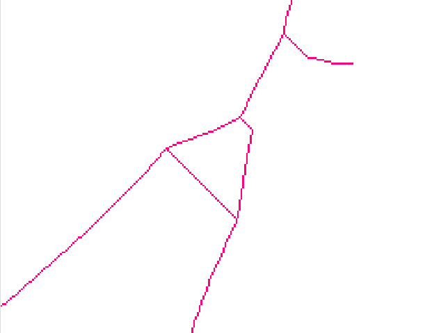 r.thin_raster.png