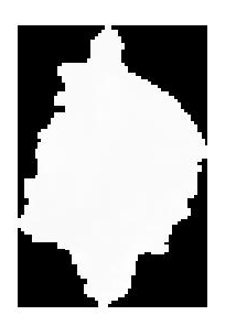 Inline images 1