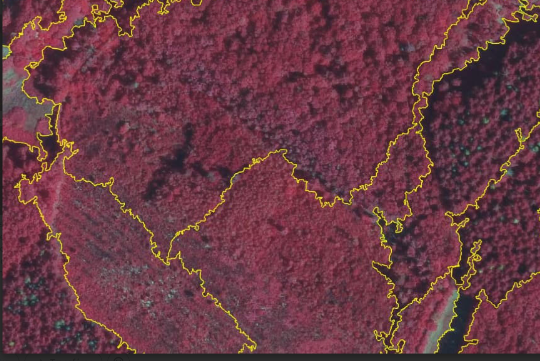 image002.png