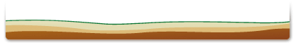 BCG_bas.gif